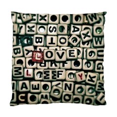 Love Standard Cushion Case (one Side) by JellyMooseBear