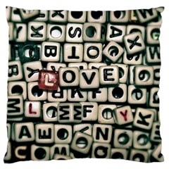 Love Large Cushion Case (one Side) by JellyMooseBear