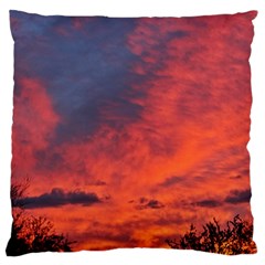 Arizona Sky Large Cushion Case (one Side) by JellyMooseBear