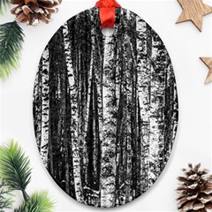 Birch Forest Trees Wood Natural Ornament (Oval)