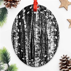 Birch Forest Trees Wood Natural Ornament (Oval Filigree)