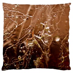 Ice Iced Structure Frozen Frost Large Cushion Case (Two Sides)