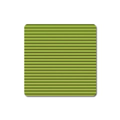 Decorative lines pattern Square Magnet