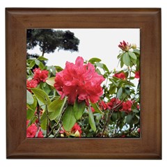 Virginia Waters Flowers Framed Tiles