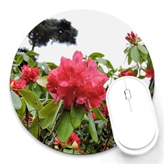 Virginia Waters Flowers Round Mousepads