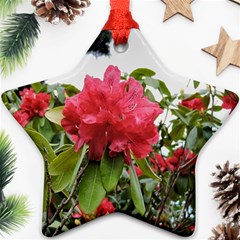 Virginia Waters Flowers Ornament (Star)