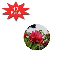 Virginia Waters Flowers 1  Mini Buttons (10 pack) 