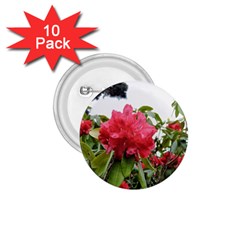 Virginia Waters Flowers 1.75  Buttons (10 pack)