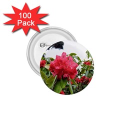 Virginia Waters Flowers 1.75  Buttons (100 pack) 