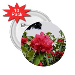 Virginia Waters Flowers 2.25  Buttons (10 pack) 