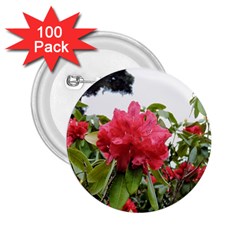 Virginia Waters Flowers 2.25  Buttons (100 pack) 