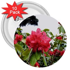 Virginia Waters Flowers 3  Buttons (10 pack) 