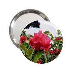 Virginia Waters Flowers 2.25  Handbag Mirrors