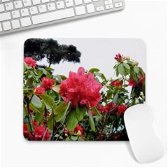 Virginia Waters Flowers Large Mousepads