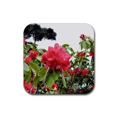 Virginia Waters Flowers Rubber Coaster (Square) 