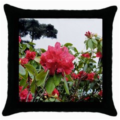 Virginia Waters Flowers Throw Pillow Case (black) by DeneWestUK