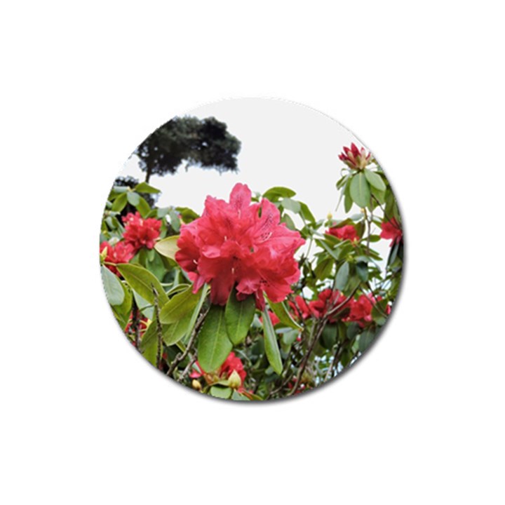 Virginia Waters Flowers Magnet 3  (Round)