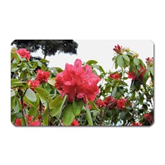 Virginia Waters Flowers Magnet (rectangular) by DeneWestUK