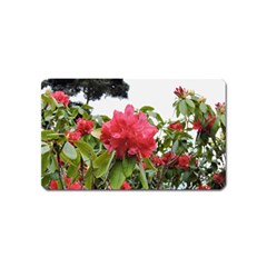 Virginia Waters Flowers Magnet (Name Card)