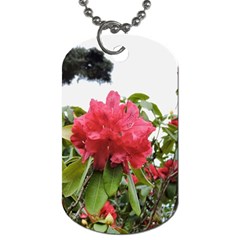 Virginia Waters Flowers Dog Tag (one Side) by DeneWestUK