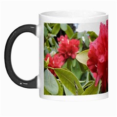 Virginia Waters Flowers Morph Mugs by DeneWestUK