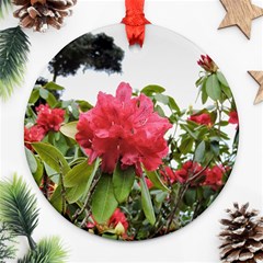 Virginia Waters Flowers Round Ornament (Two Sides)