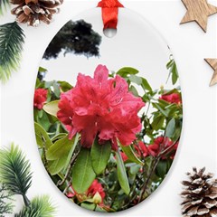 Virginia Waters Flowers Oval Ornament (Two Sides)