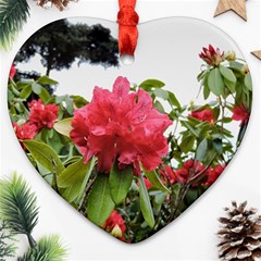 Virginia Waters Flowers Heart Ornament (Two Sides)