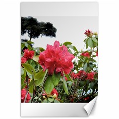 Virginia Waters Flowers Canvas 24  X 36  by DeneWestUK