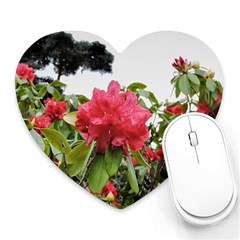 Virginia Waters Flowers Heart Mousepads