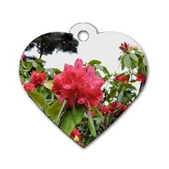 Virginia Waters Flowers Dog Tag Heart (one Side) by DeneWestUK