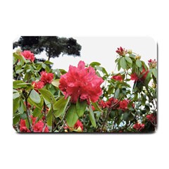 Virginia Waters Flowers Small Doormat  by DeneWestUK