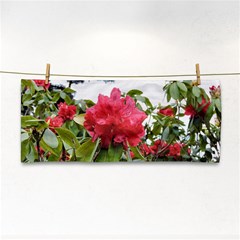 Virginia Waters Flowers Cosmetic Storage Cases by DeneWestUK