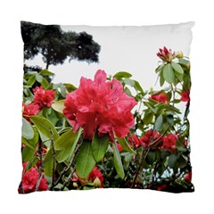 Virginia Waters Flowers Standard Cushion Case (one Side) by DeneWestUK