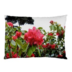 Virginia Waters Flowers Pillow Case