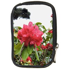 Virginia Waters Flowers Compact Camera Cases