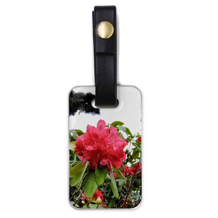 Virginia Waters Flowers Luggage Tags (One Side) 