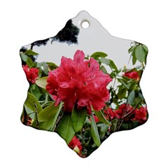 Virginia Waters Flowers Snowflake Ornament (two Sides) by DeneWestUK