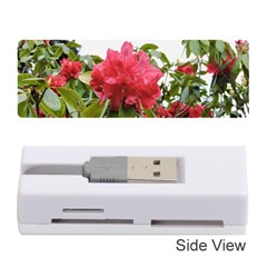 Virginia Waters Flowers Memory Card Reader (Stick) 