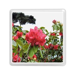 Virginia Waters Flowers Memory Card Reader (Square) 