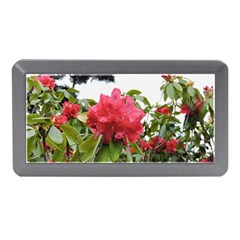 Virginia Waters Flowers Memory Card Reader (Mini)