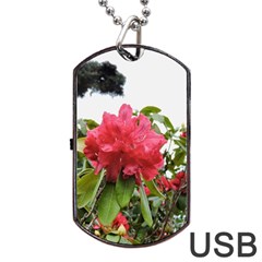 Virginia Waters Flowers Dog Tag USB Flash (One Side)