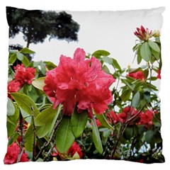 Virginia Waters Flowers Large Cushion Case (two Sides) by DeneWestUK