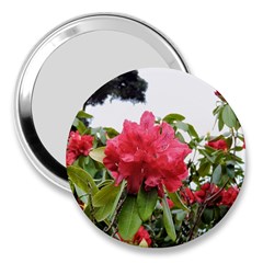 Virginia Waters Flowers 3  Handbag Mirrors