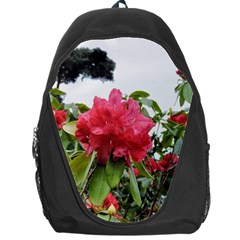 Virginia Waters Flowers Backpack Bag