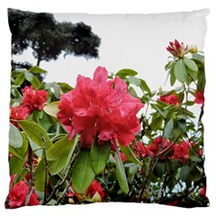 Virginia Waters Flowers Standard Flano Cushion Case (two Sides) by DeneWestUK