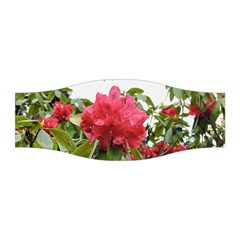 Virginia Waters Flowers Stretchable Headband