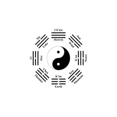 I ching  Shower Curtain 48  x 72  (Small) 