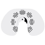 I ching  Travel Neck Pillows Back