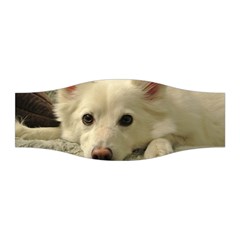 Niko Puppy Face Stretchable Headband